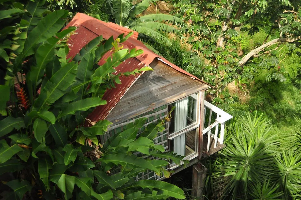 Mount Edge Guest House Port Antonio Jamaica