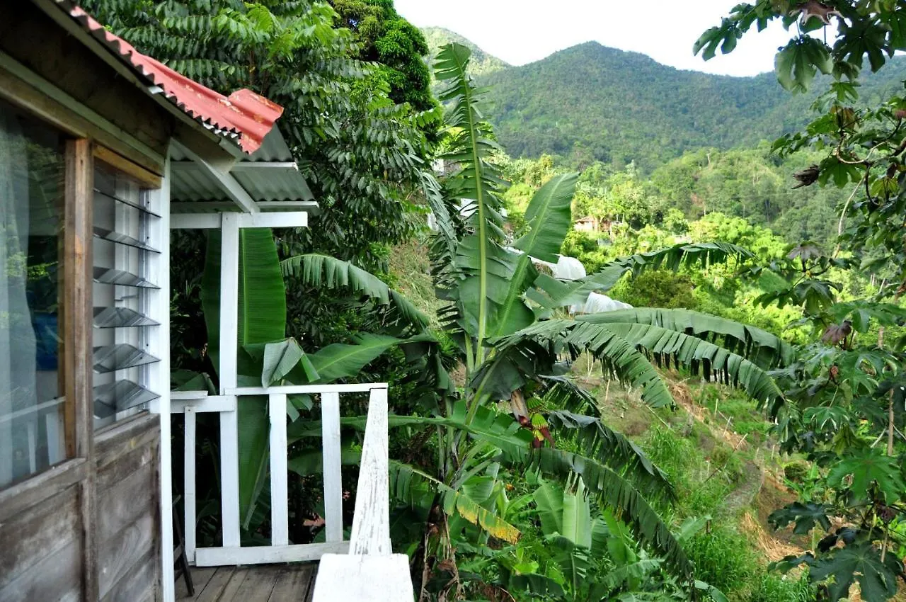 Mount Edge Guest House Port Antonio Jamaica